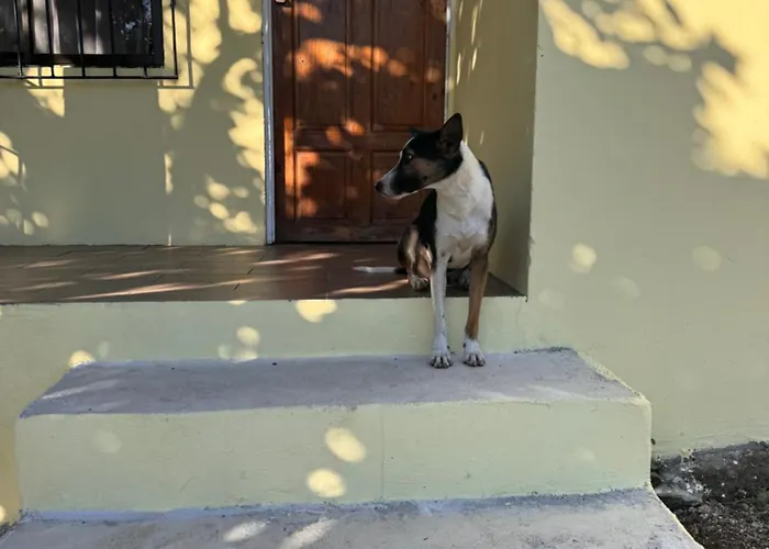 Casa Malu Morote