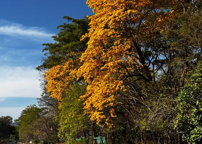Casa Malu
